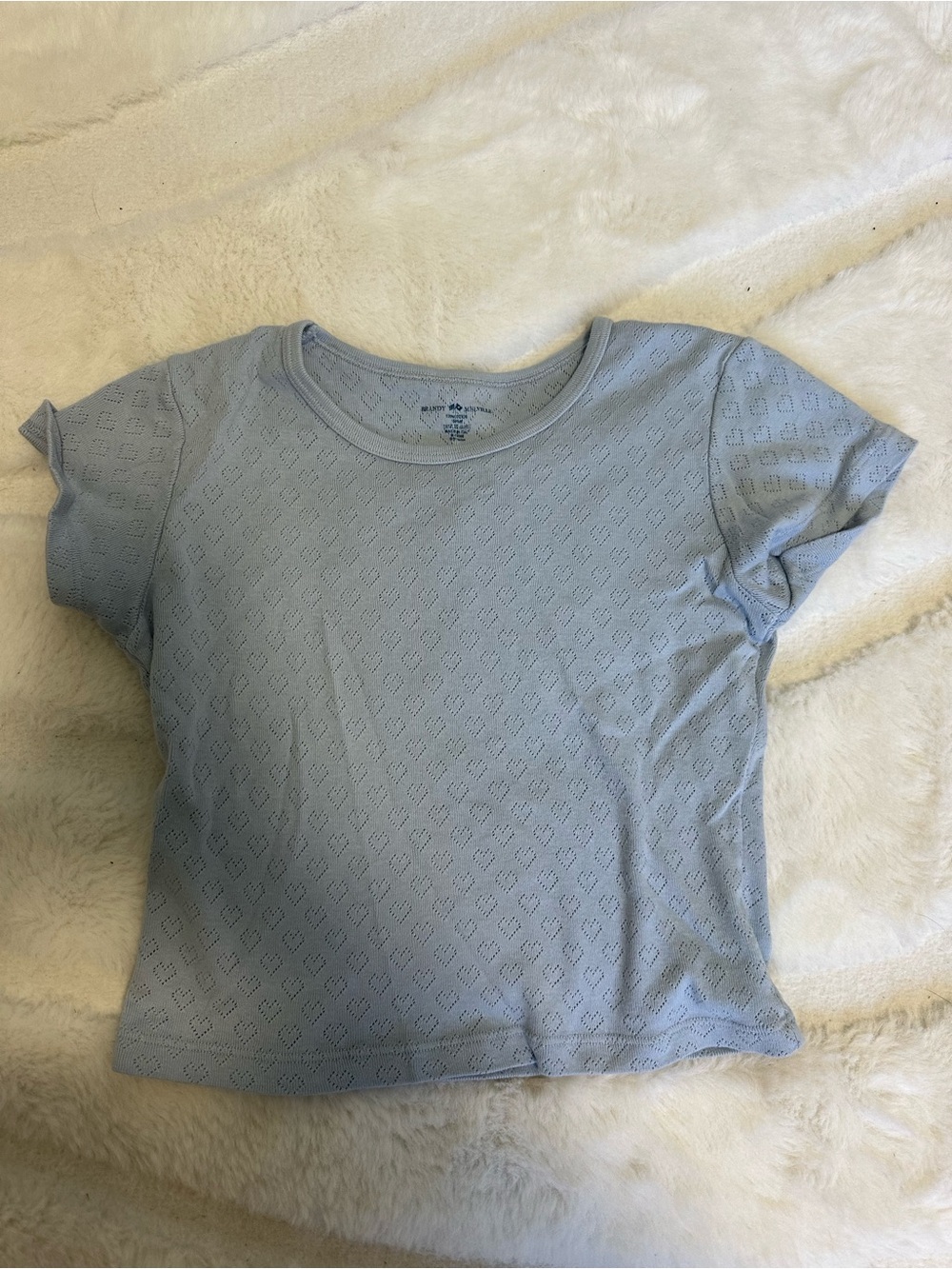 Brandy Melville Pale Blue Eyelet Short Sleeve Tee